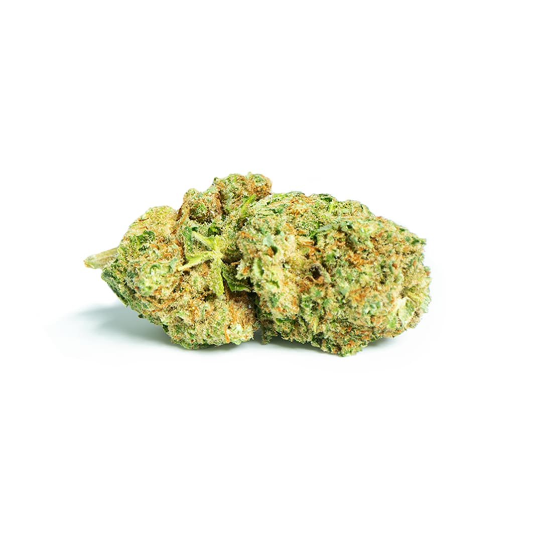 Cogollos de CBD Indoor - Variedad Amnesia. Cultivo de interior para producir flores de CBD de la máxima calidad