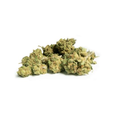 CBD Popcorn Little lime - CBD bud to buy online at Greenery