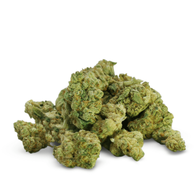 Small buds of Amnesia Hydro CBD premium. CBD flower popcorn buds