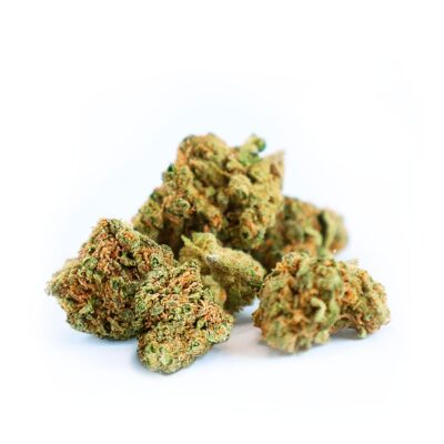 New Blueberry popcorn with premium quality buds by greenery 420