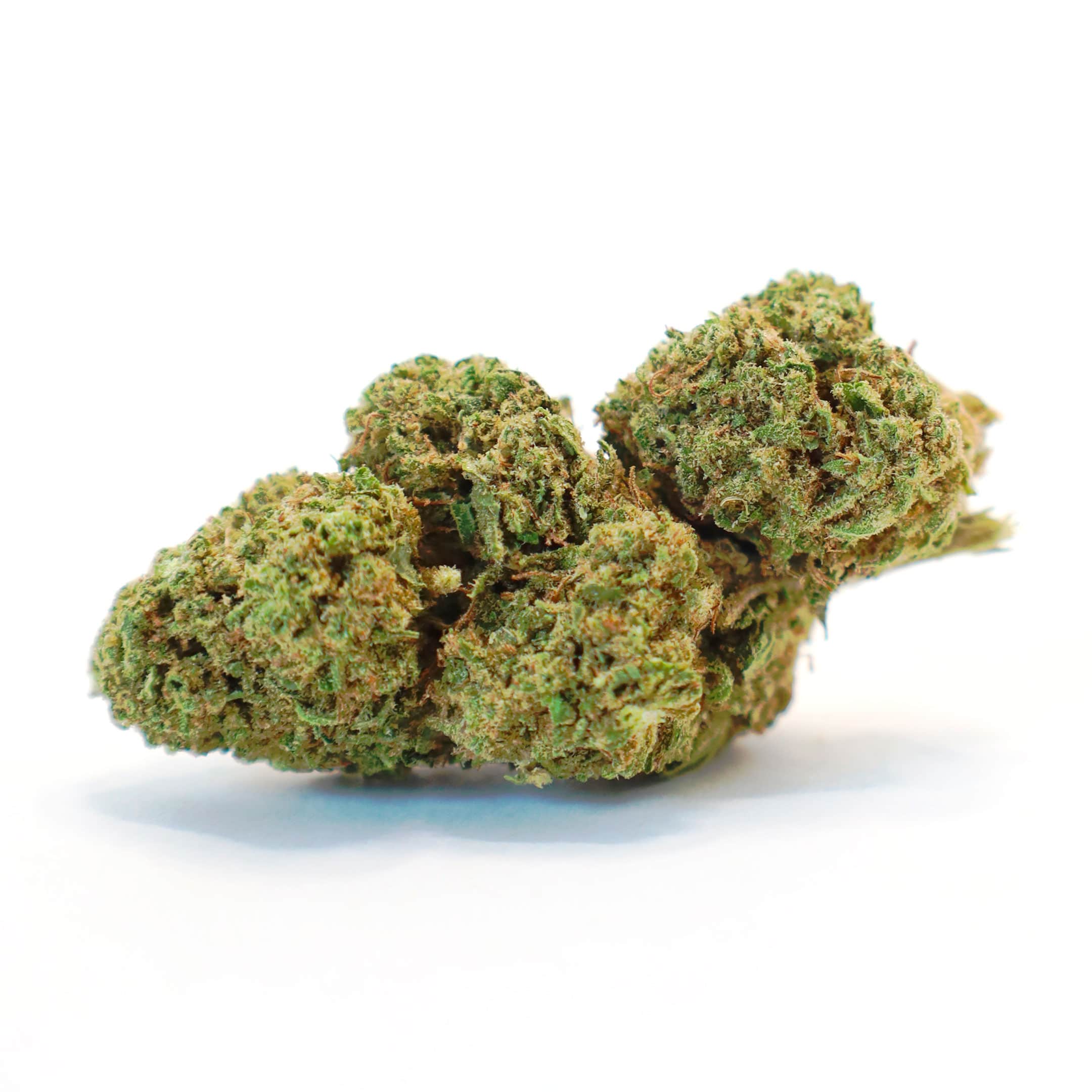 Discover our new variety of CBD flowers Passion fruit Haze by grennery420