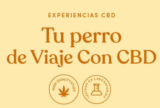 Experiencia con CBD: Tu perro de viaje con CBD. Alta calidad de CBD y testado en laboratorios independientes