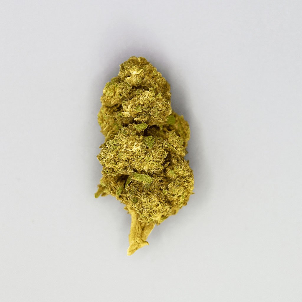 Passion fruit CBD bud on a white background.