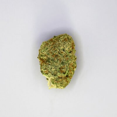 Cogollo de CBD variedad Mimosa Indoor sobre fondo blanco.