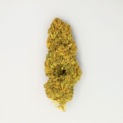 Cogollo de CBD variedad Tropical Punch sobre fondo blanco.