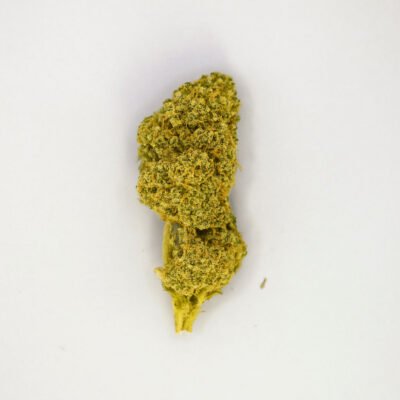 Cogollo de CBD variedad Wedding Cake Indoor sobre fondo blanco.